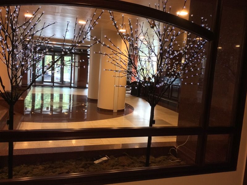 Hotel Rapsodia City Center Botosani Luaran gambar